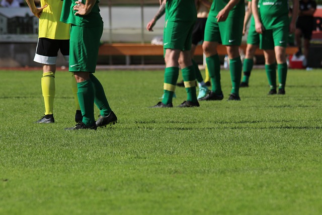 不仅要注重 不仅要注重