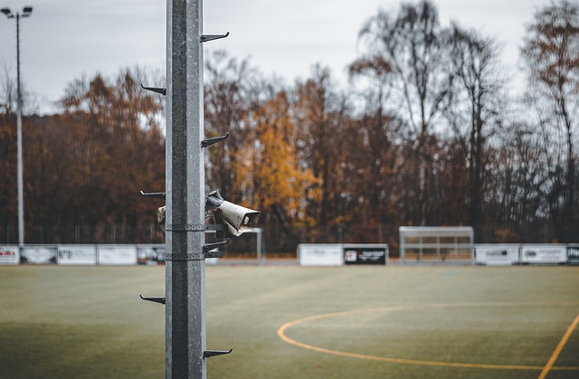 望与挑战的 望与挑战的