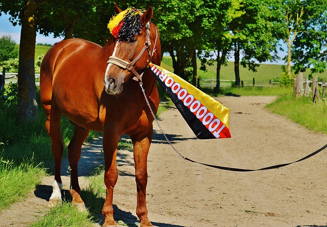 者的行列 者的行列