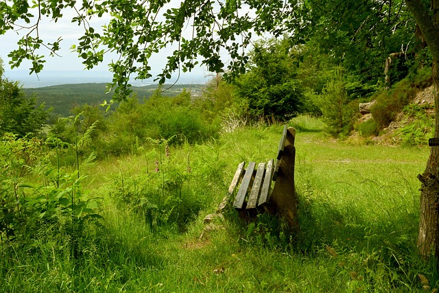 以确保团队 以确保团队